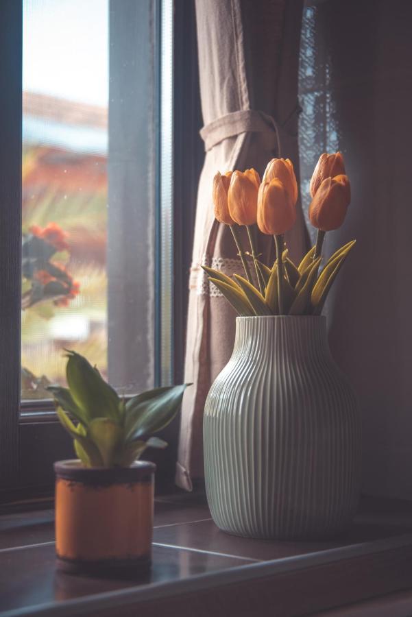 Hauptman Apartman Nagyatád エクステリア 写真