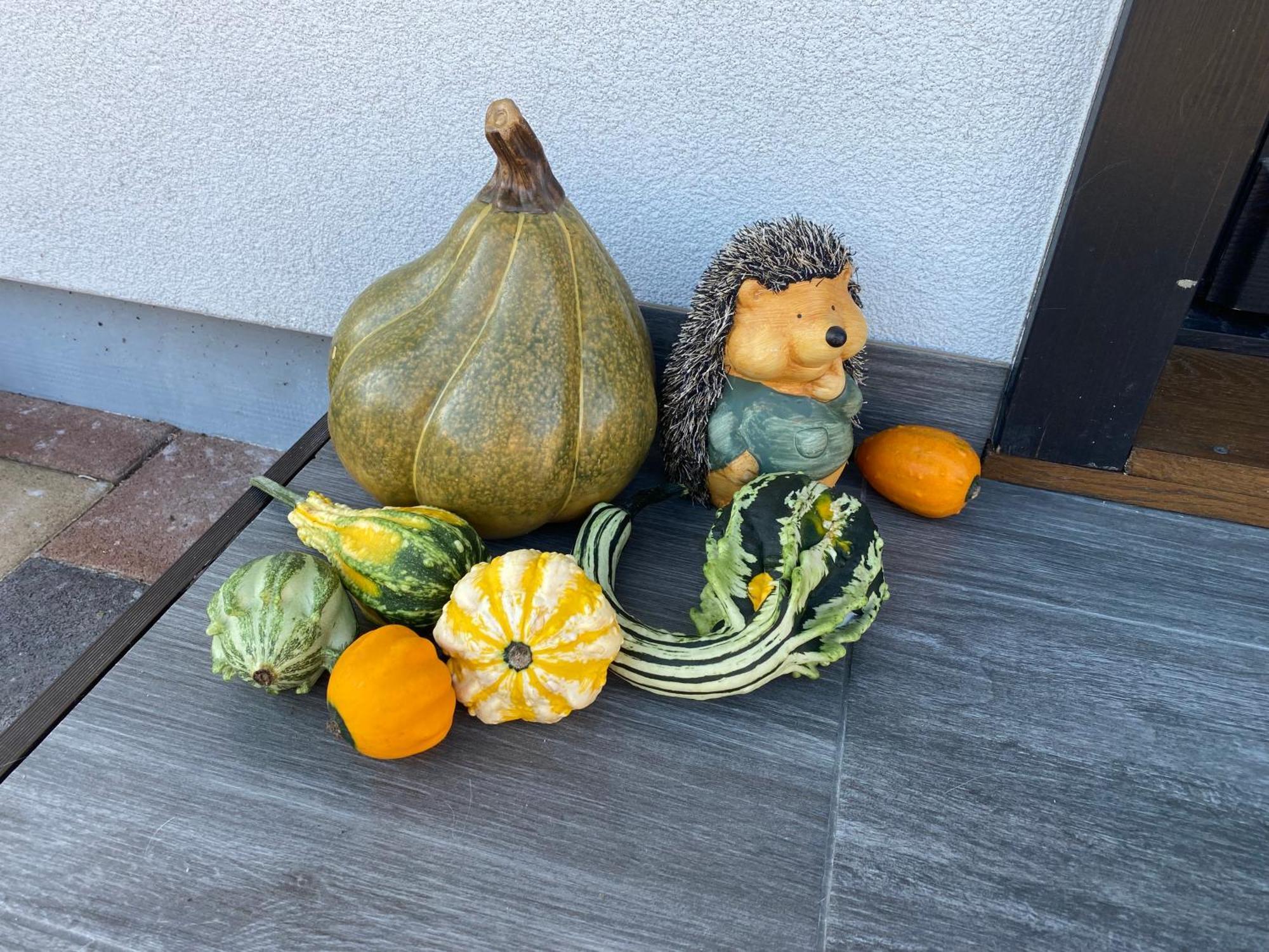 Hauptman Apartman Nagyatád エクステリア 写真